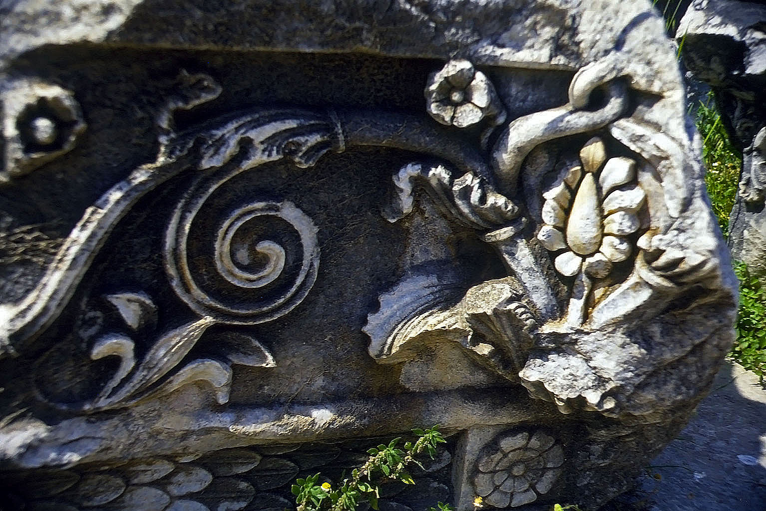 24.04.1993 | Apollon-Tempel   | Detail aus Schmuckfries