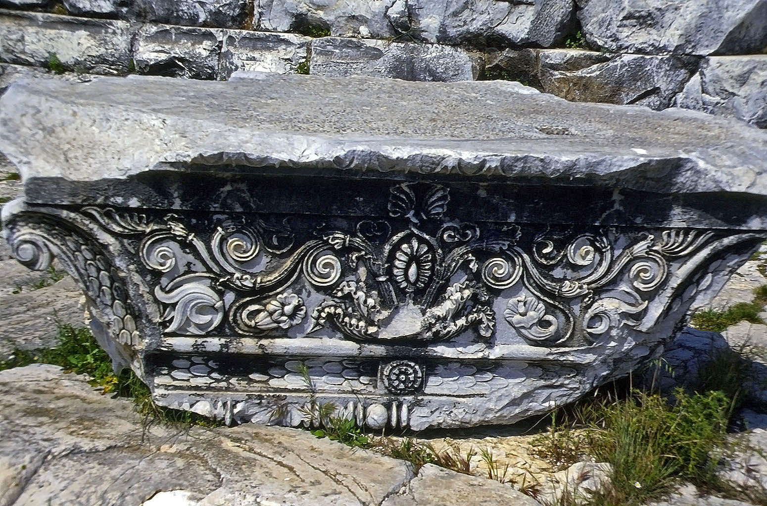 24.04.1993 | Apollon-Tempel   | Detail aus Schmuckfries