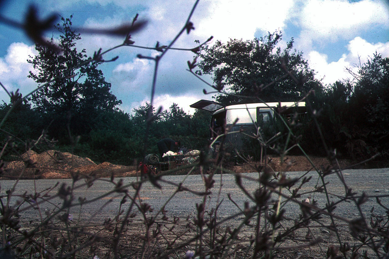 28.08.1968 | Belgrad Wald | Übernachtungsplatz im Belgrad Wald