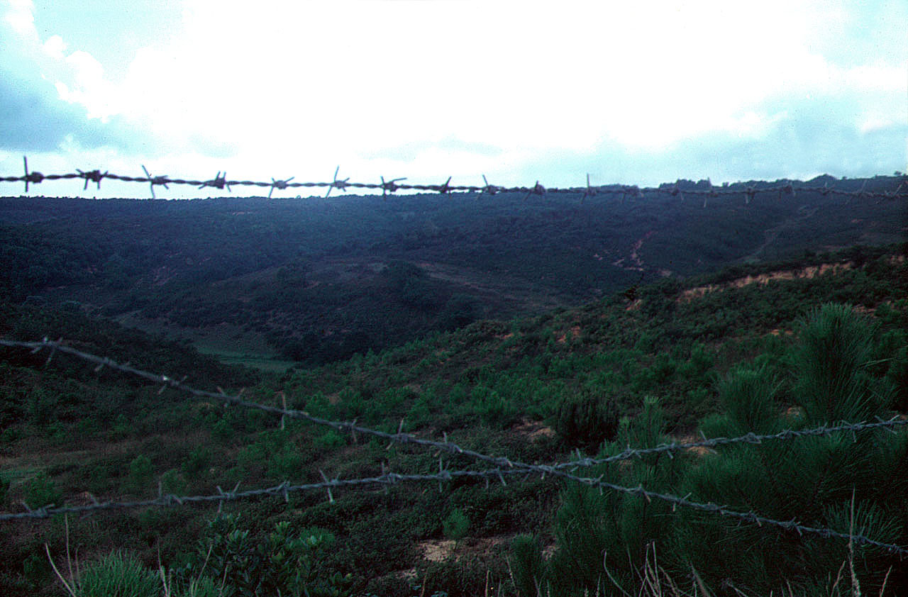 28.08.1968 | Belgrad Wald | Übernachtungsplatz im Belgrad Wald