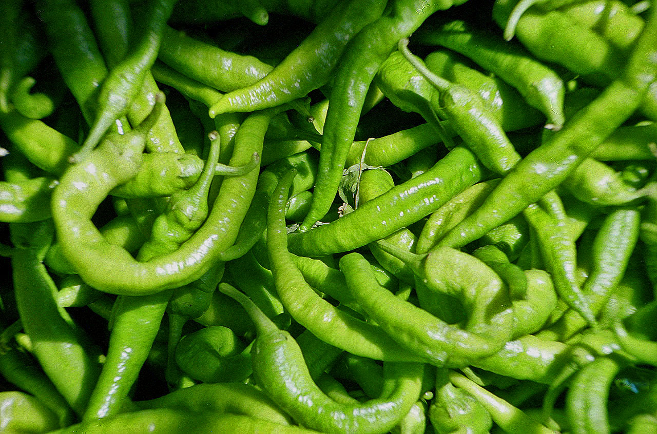 23.06.1993 | Sultanahmet | frische Paprika