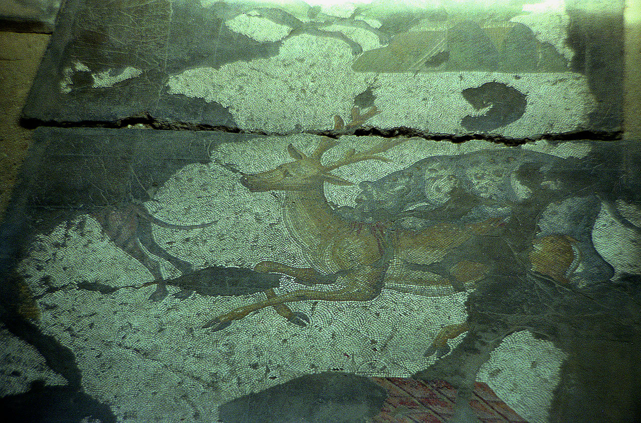 28.06.1993 | Mosaikenmuseum   | Mosaikenmuseum südlich der Blauen Moschee