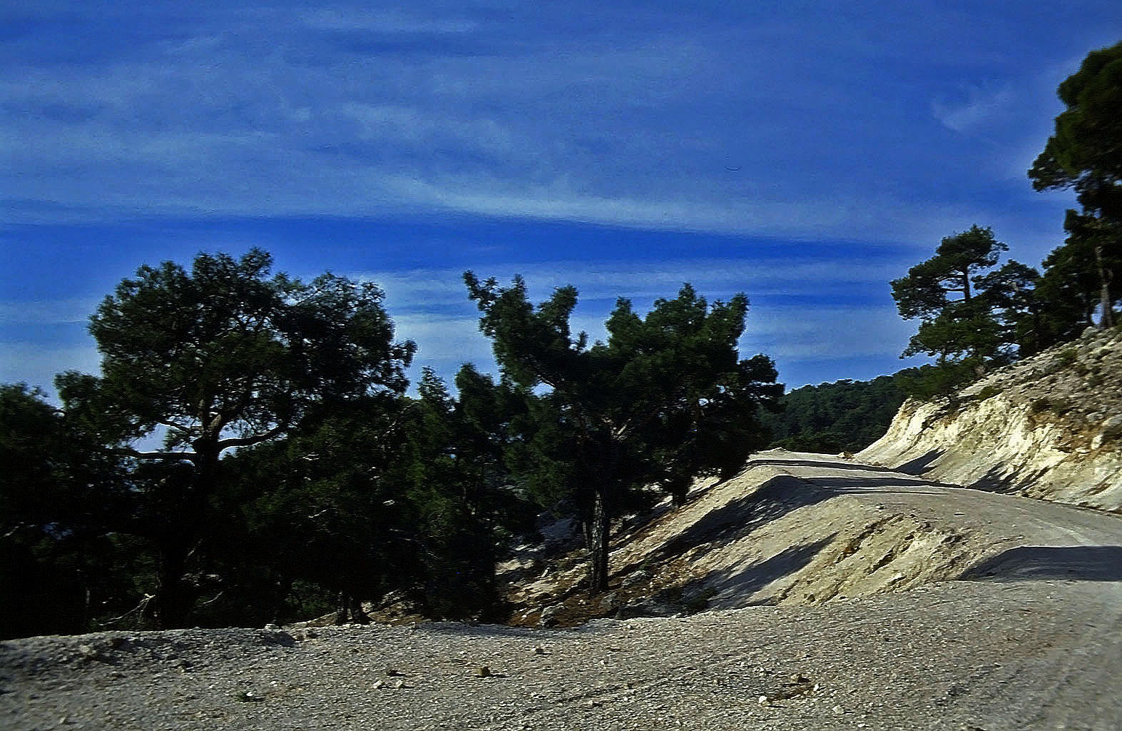 23.04.1993 | vor Kadyanda | neue gediegene Forststrasse
