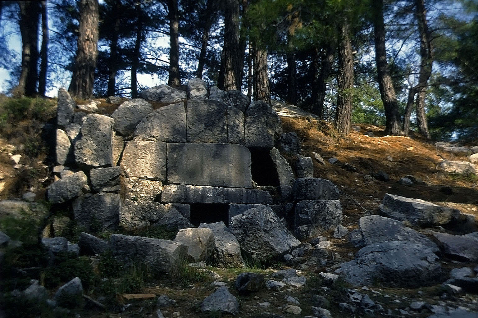 23.04.1993 | Gräber | Grabbauten im Wald