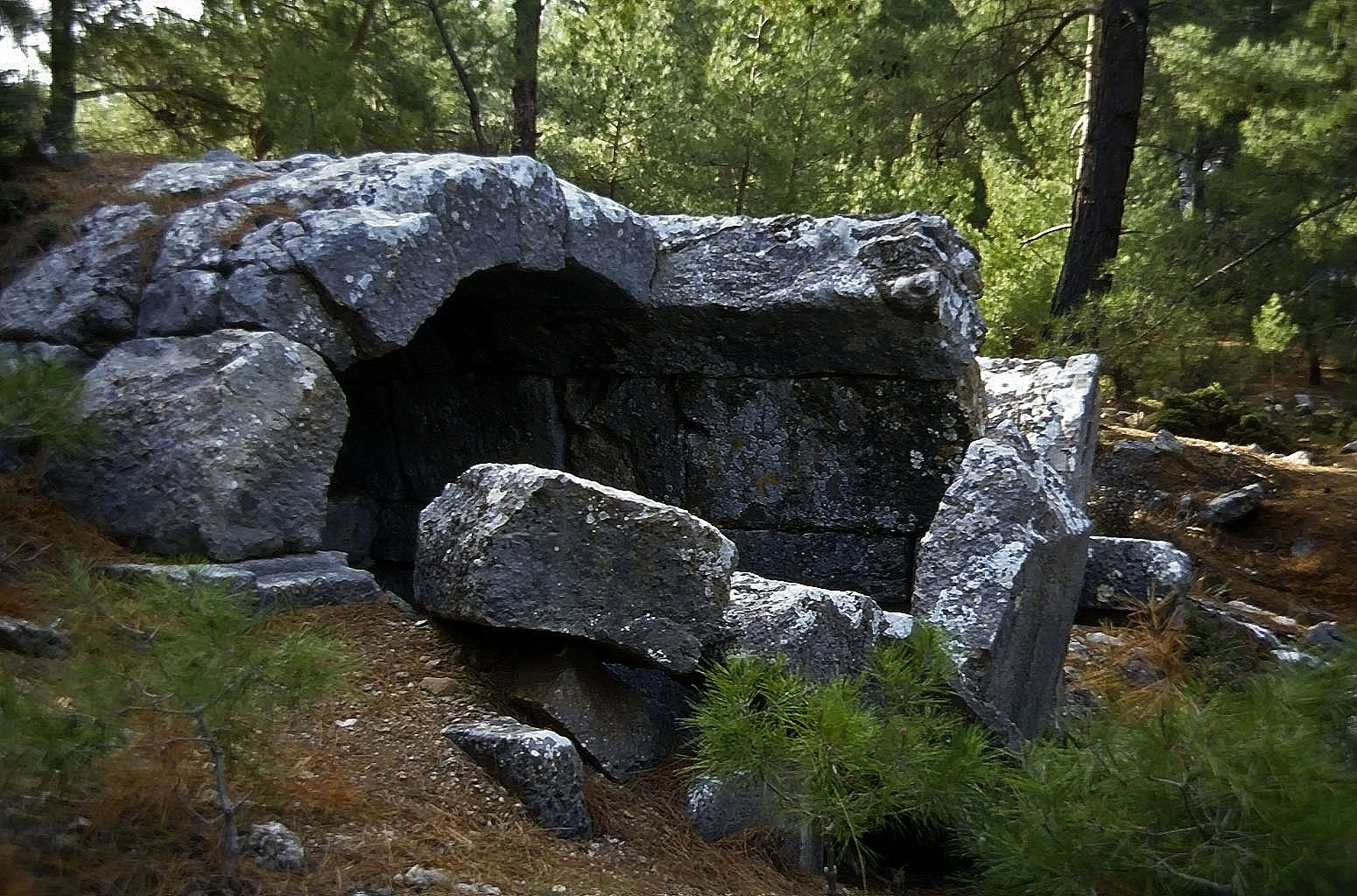 23.04.1993 | Gräber | Grabbau im Wald