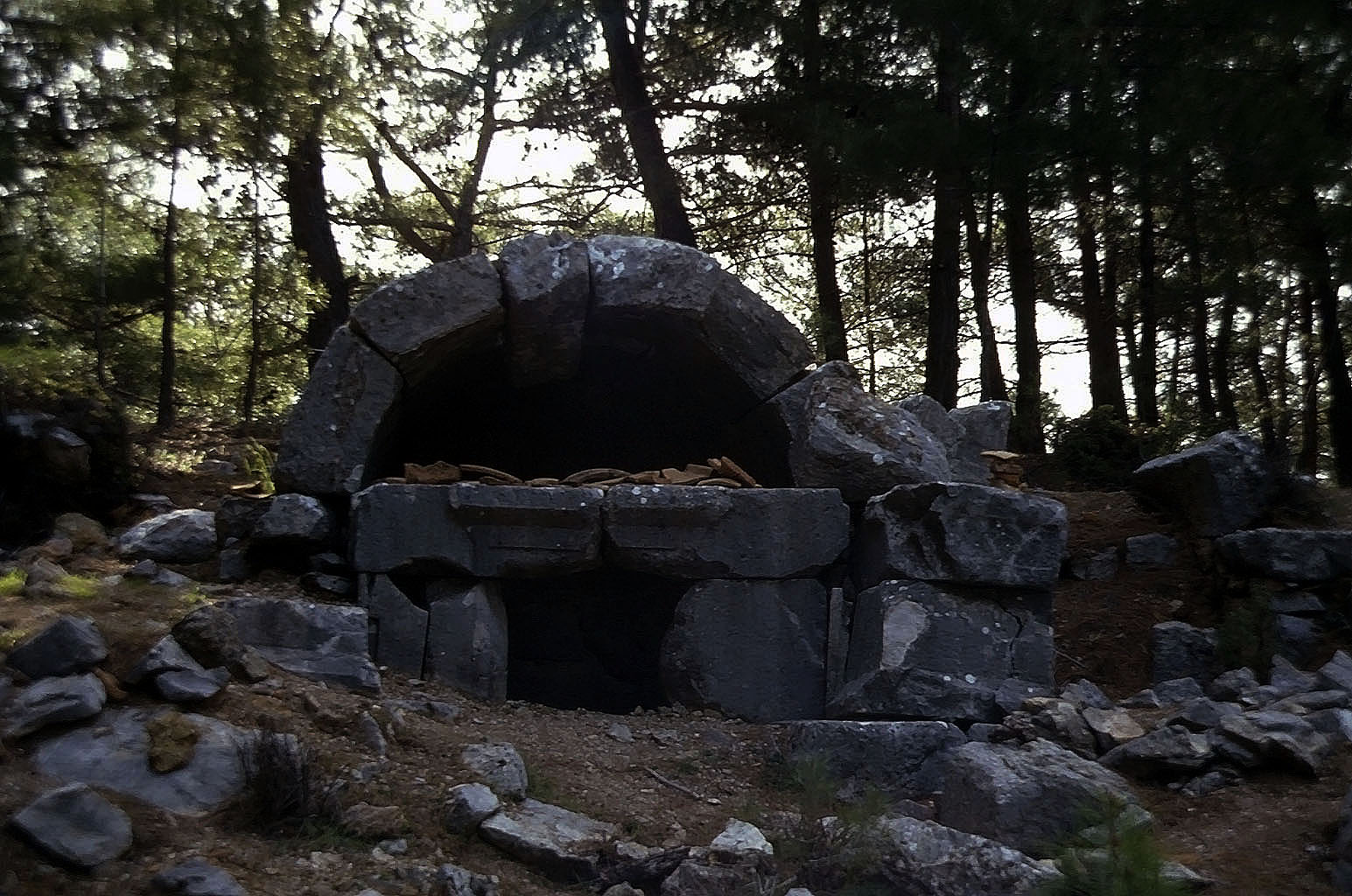 23.04.1993 | Gräber | Grabbau im Wald