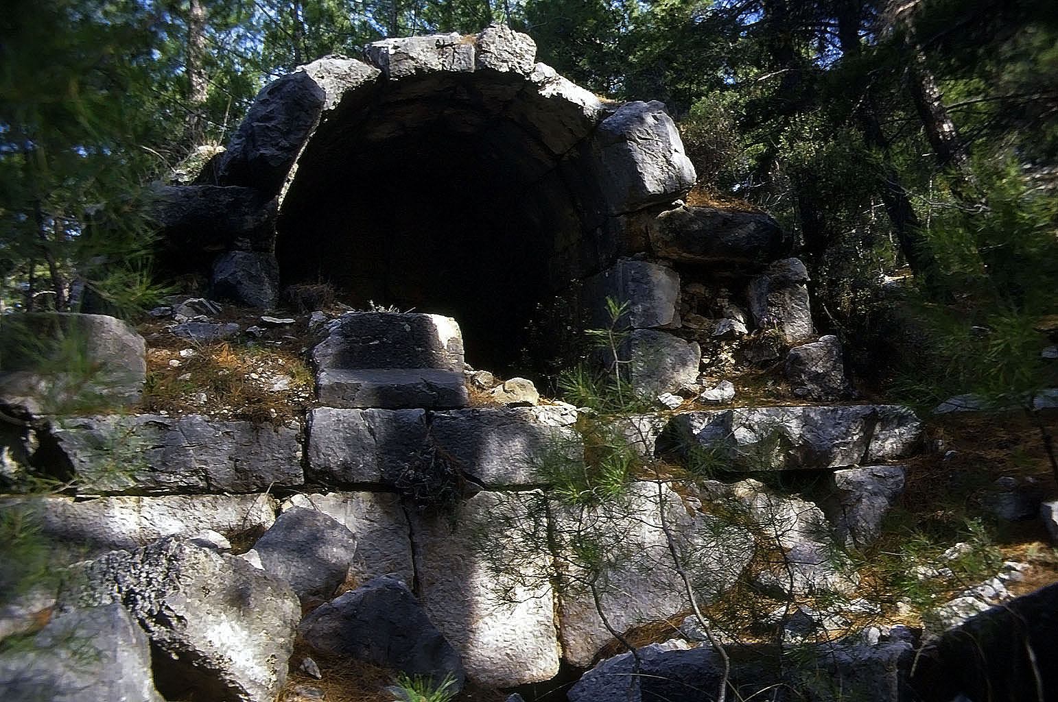 23.04.1993 | Gräber | Grabbau im Wald