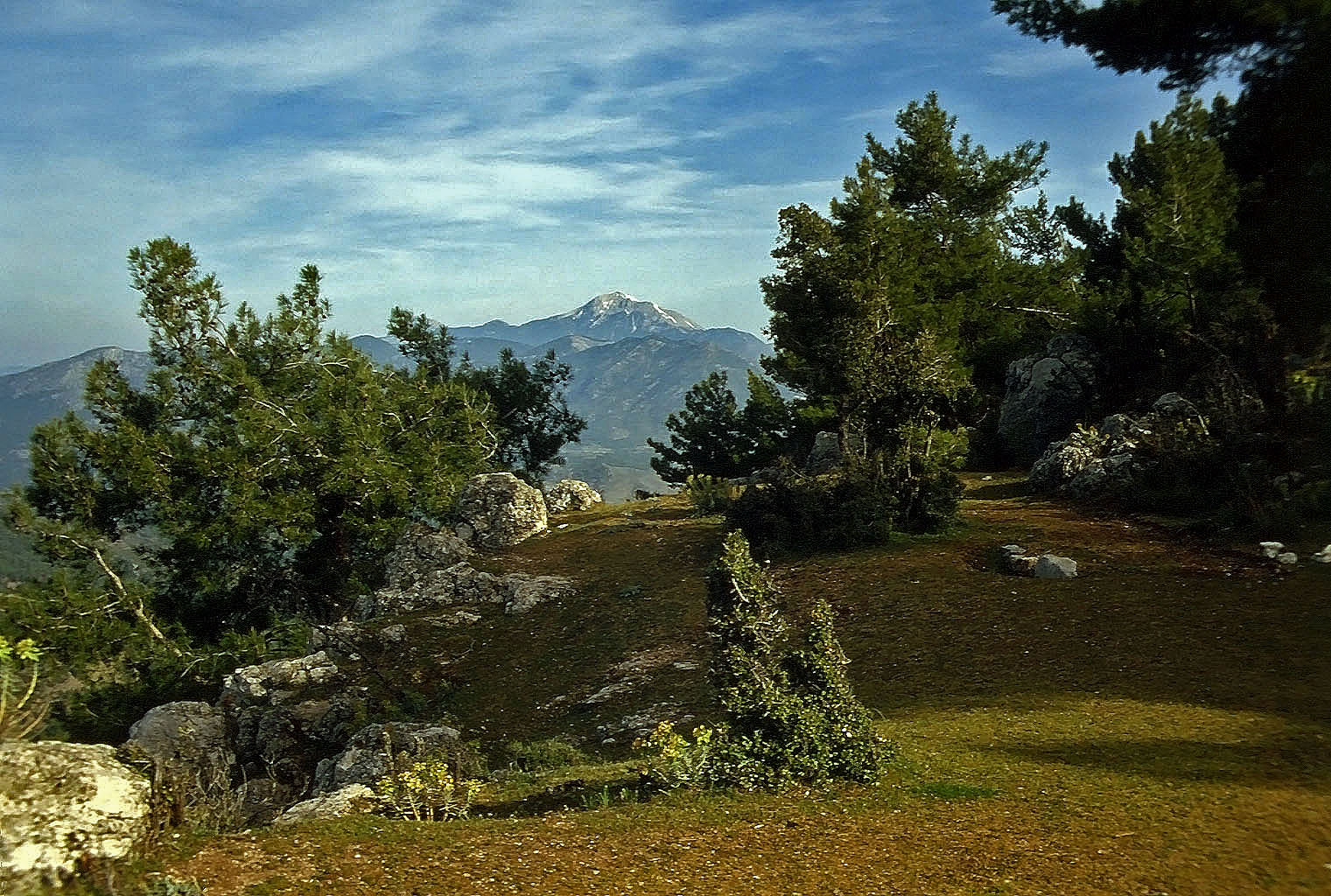 23.04.1993 | Agora | eingeebnete Marktplatzfläche