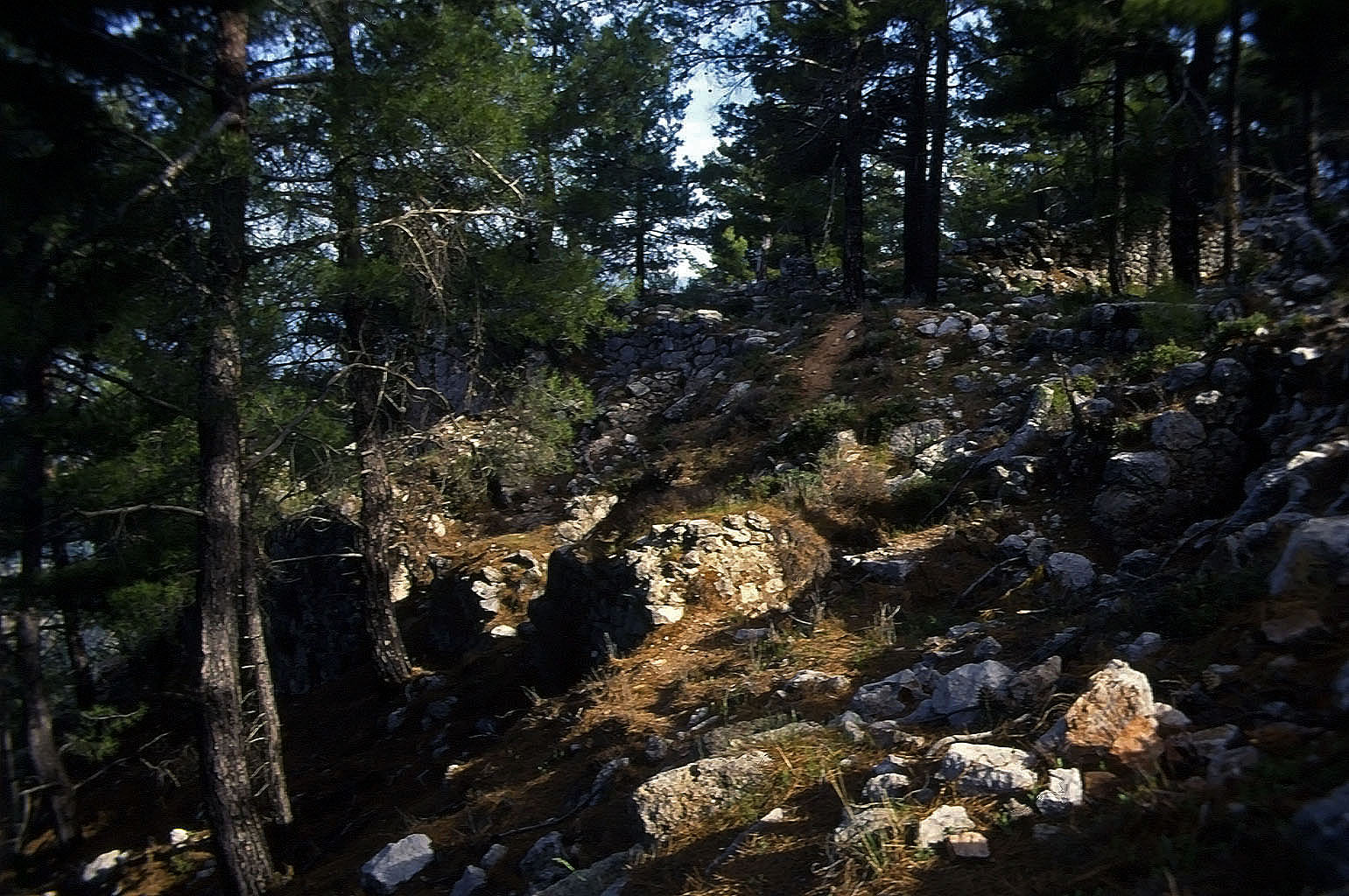 23.04.1993 | Stadtgebiet | Stadtgebiet im Wald