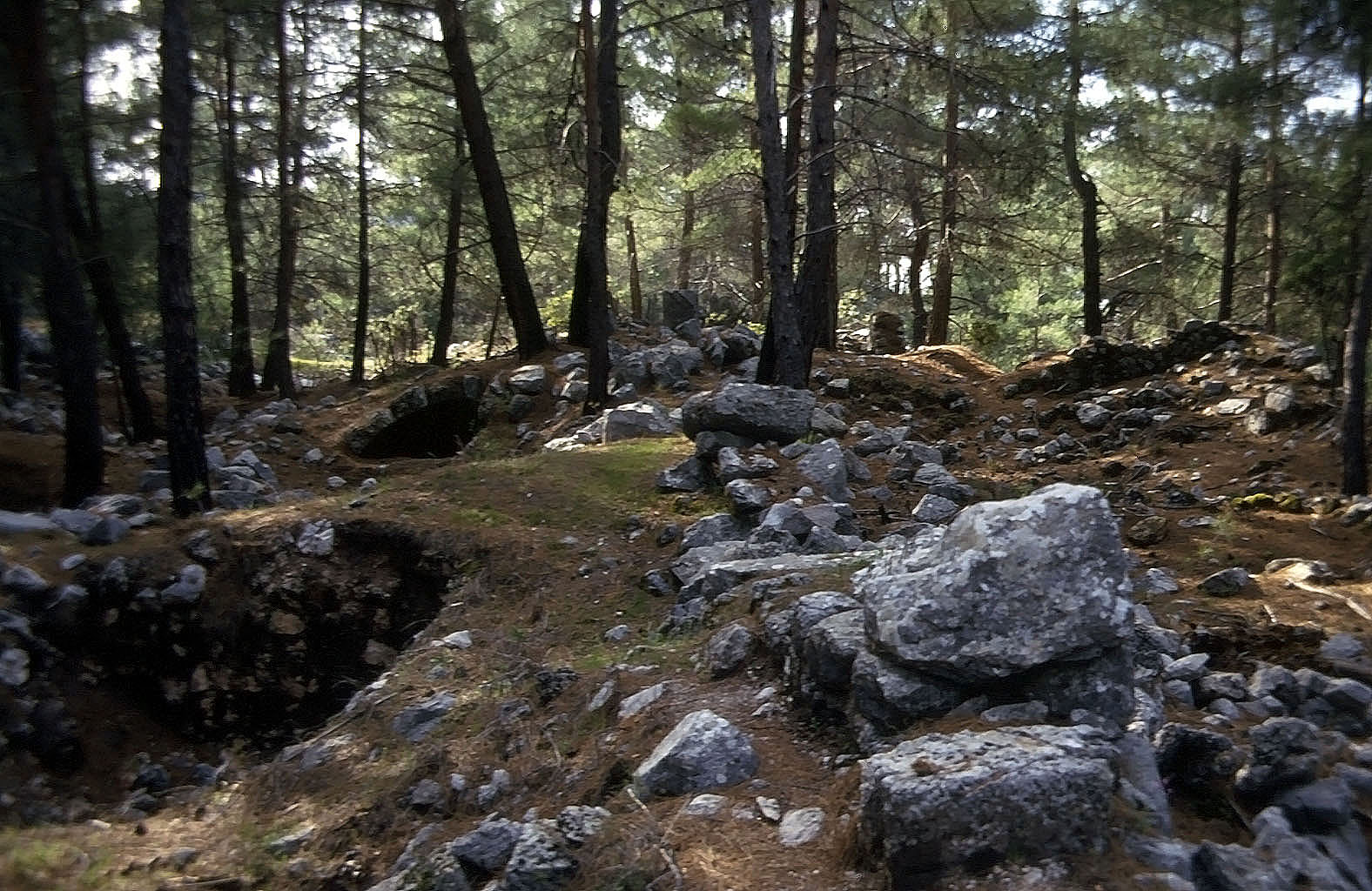 23.04.1993 | Stadtgebiet | Stadtgebiet im Wald