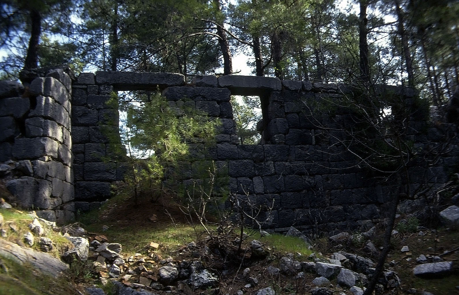 23.04.1993 | Thermen | überwachsene Thermenruinen