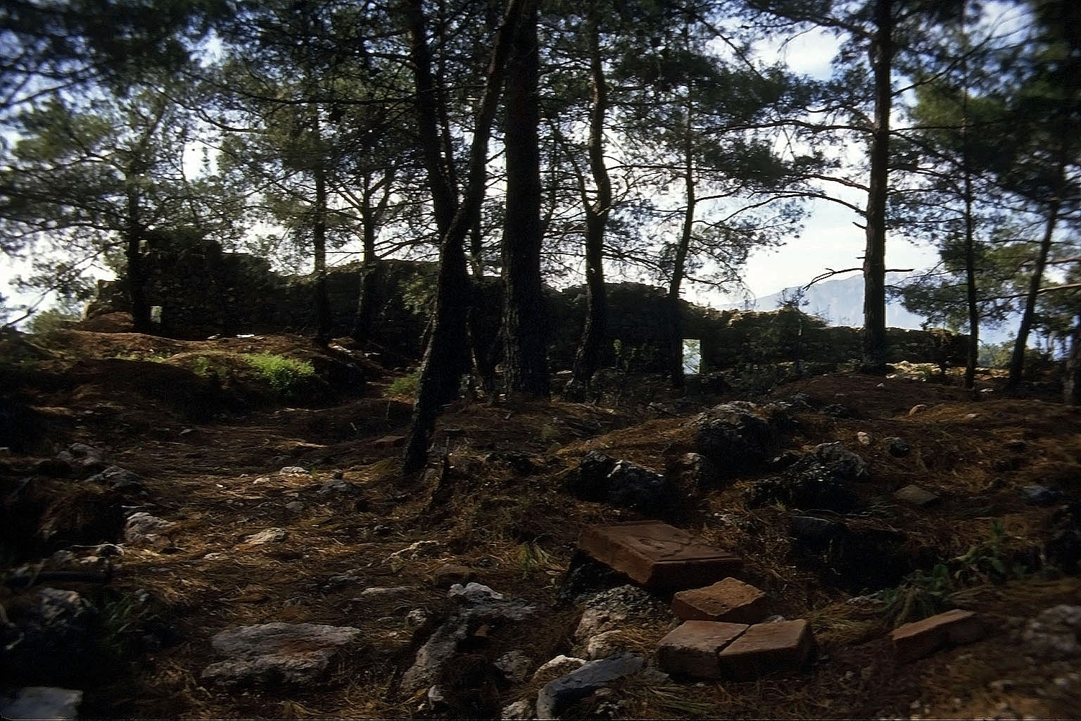 23.04.1993 | Stadtgebiet | Stadtgebiet im Wald