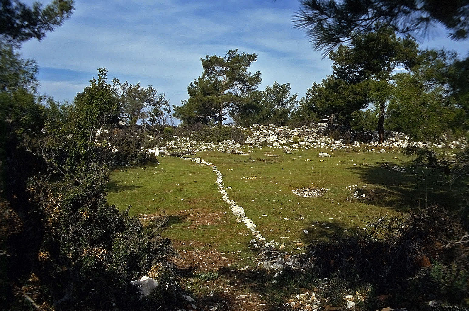23.04.1993 | Stadtmauer | weitere flache Marktplatzfläche