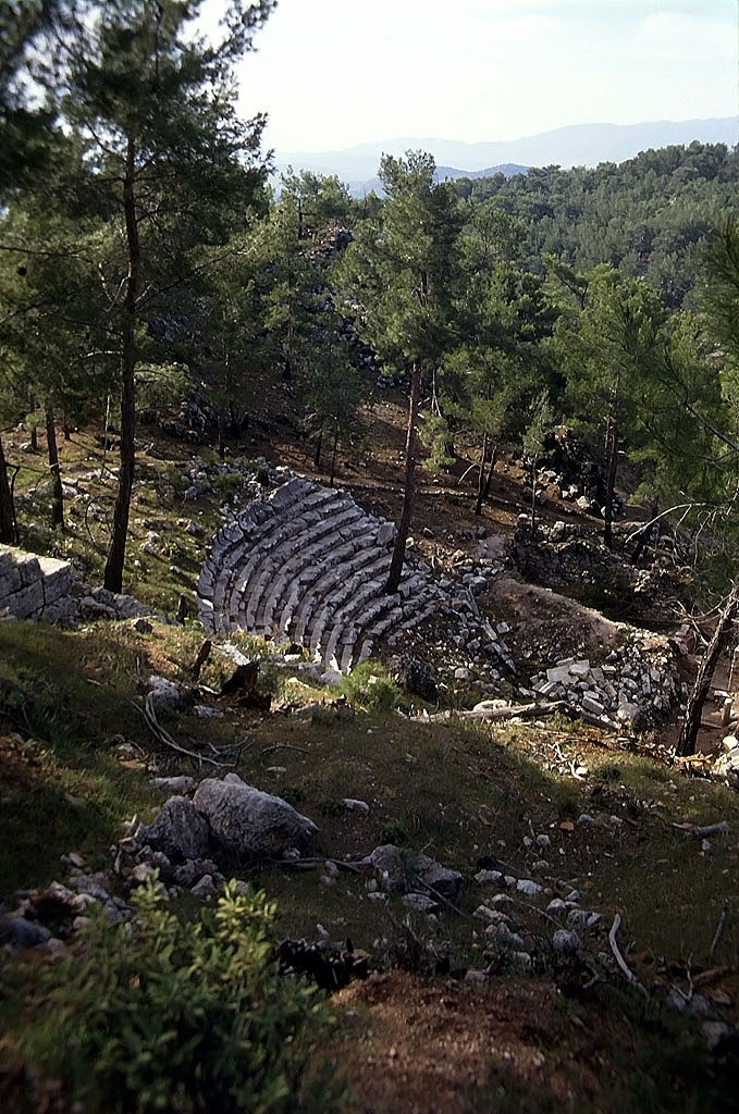 23.04.1993 | Theater | überwucherte Sitzreihen  im Wald