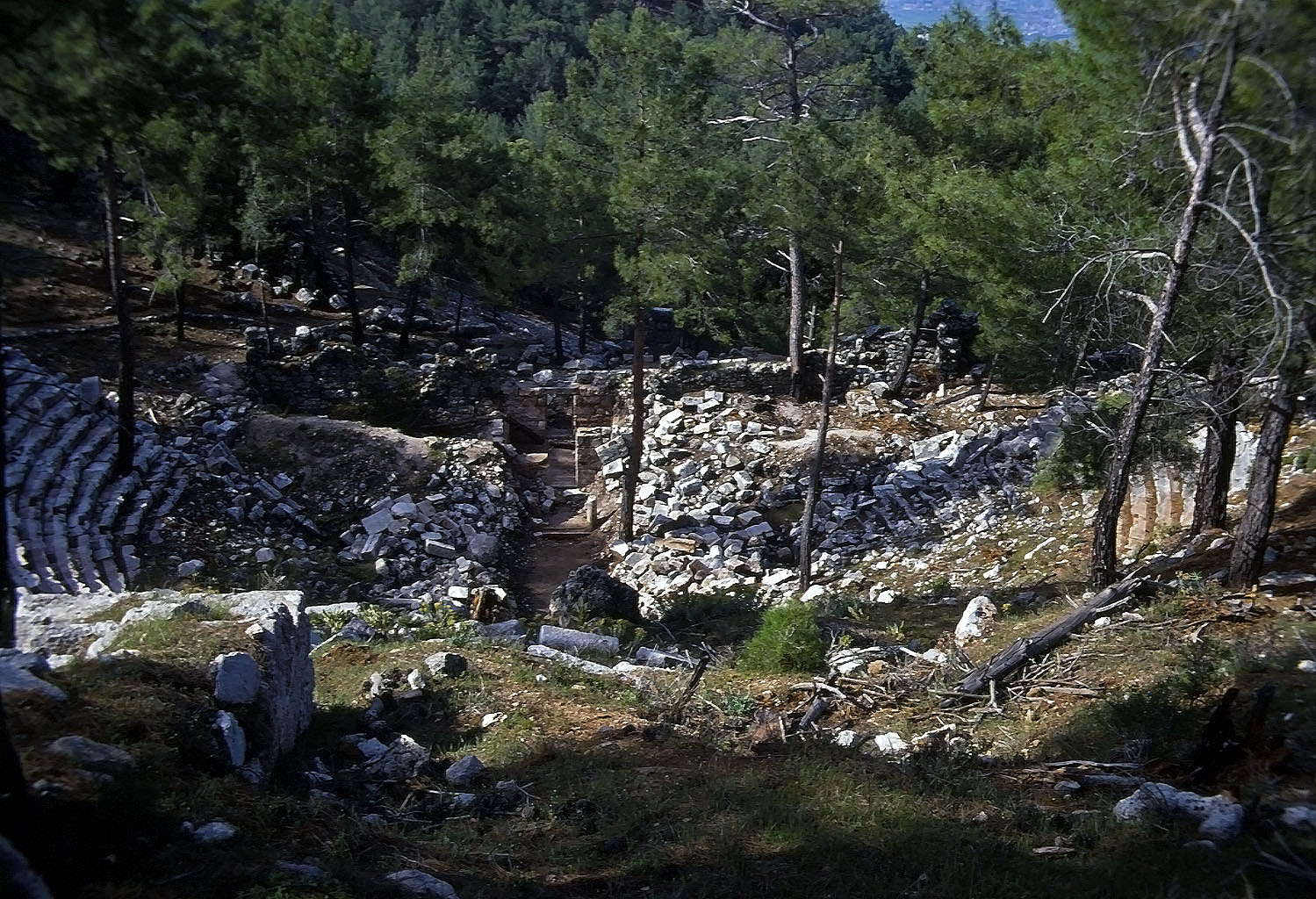 23.04.1993 | Theater | überwucherte Sitzreihen  im Wald