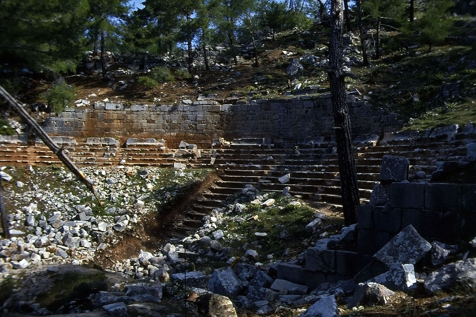 23.04.1993 | Theater   | Sitzreihen und Stützmauer im Wald