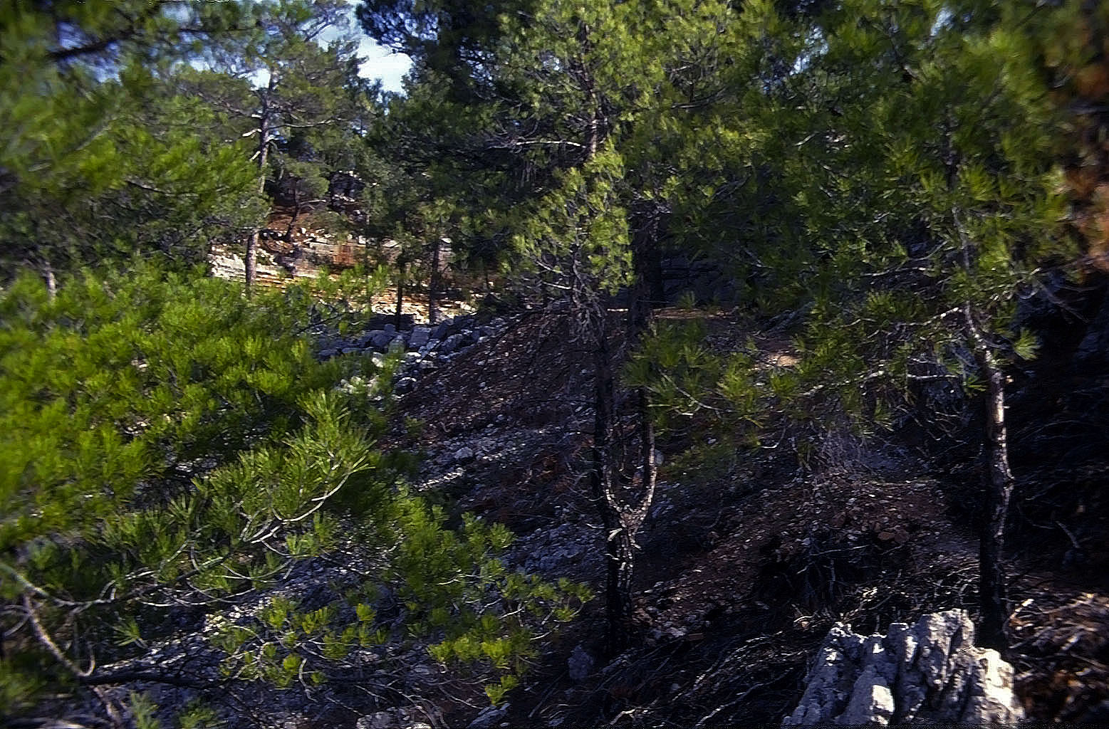 23.04.1993 | unterm Theater   | Weg unterhalb des Theaters