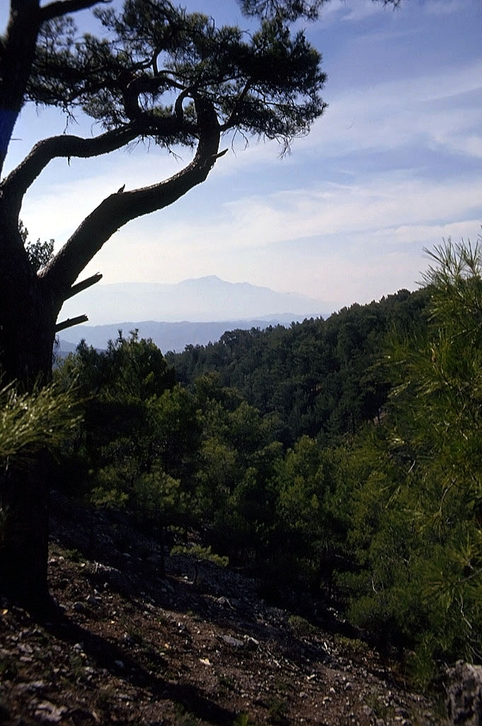 23.04.1993 | unterm Theater   | Blick Richtung Fethiye