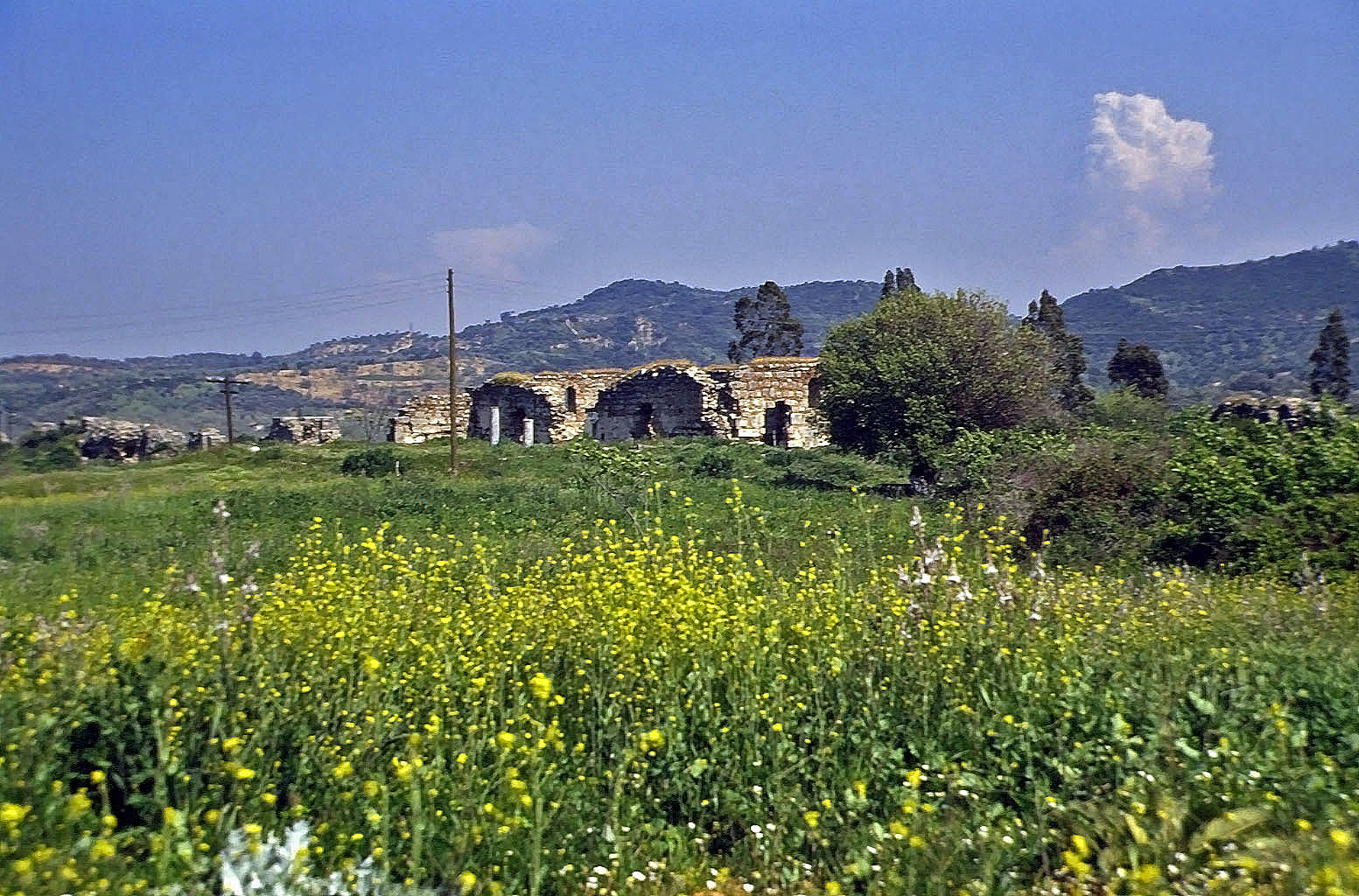 25.04.1993 | Klaros | antike Mauerreste