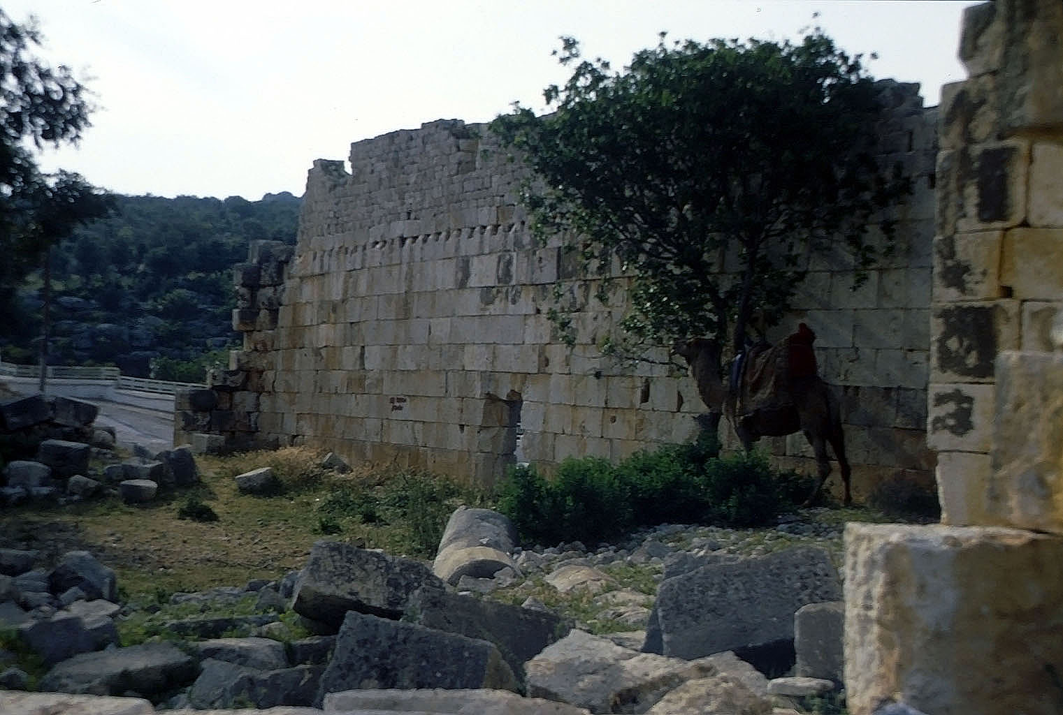 29.04.1993 | Elaioussa Sebaste | massive Mauern eines Tempelbaus