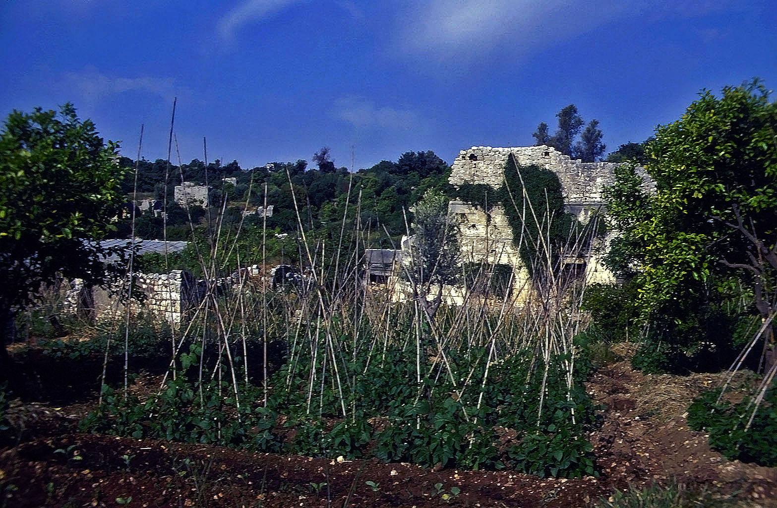 30.04.1993 | Korykos | Überreste von unidentifizierten Gebäuderesten