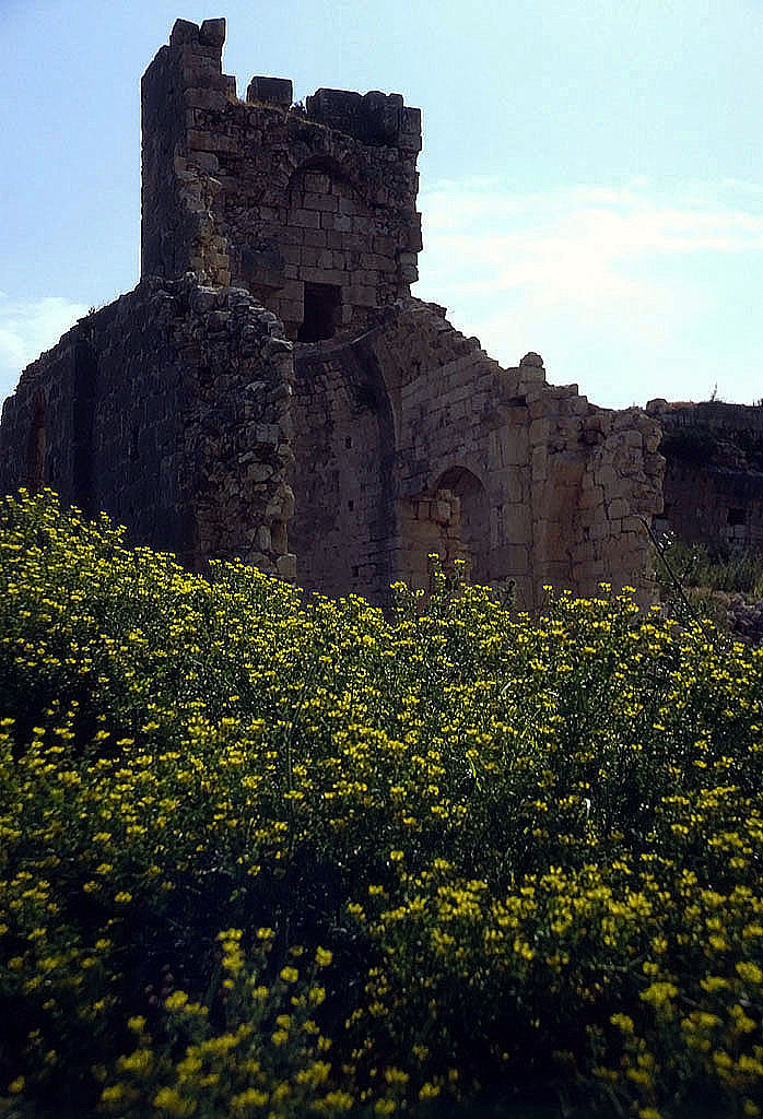 30.04.1993 | Landburg | byzantin. Saalbau hinter Blumen
