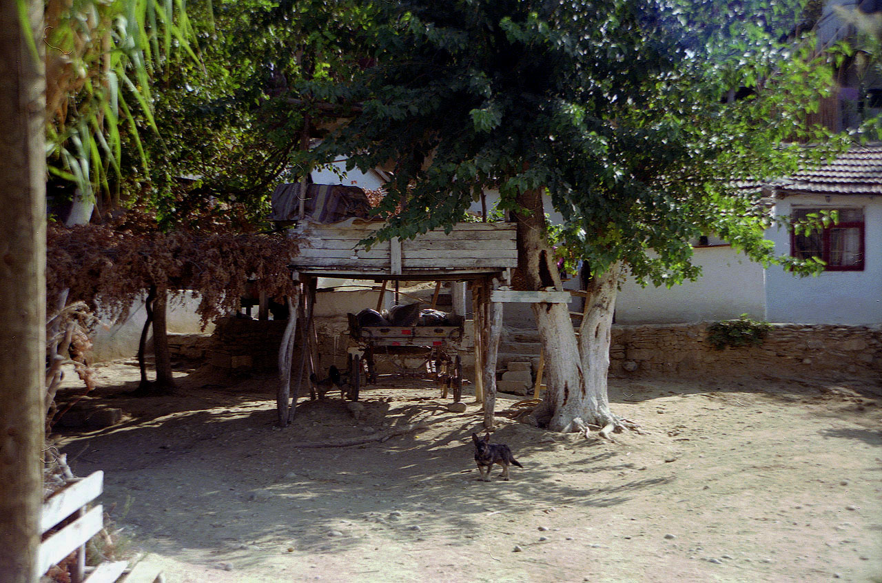 23.09.1992 | bei Manavgat | Dorfimpression mit Rasse-Wachhund