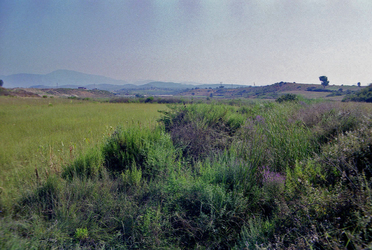 23.09.1992 | bei Manavgat | Wiesen und Felder in pamphylischer Ebene