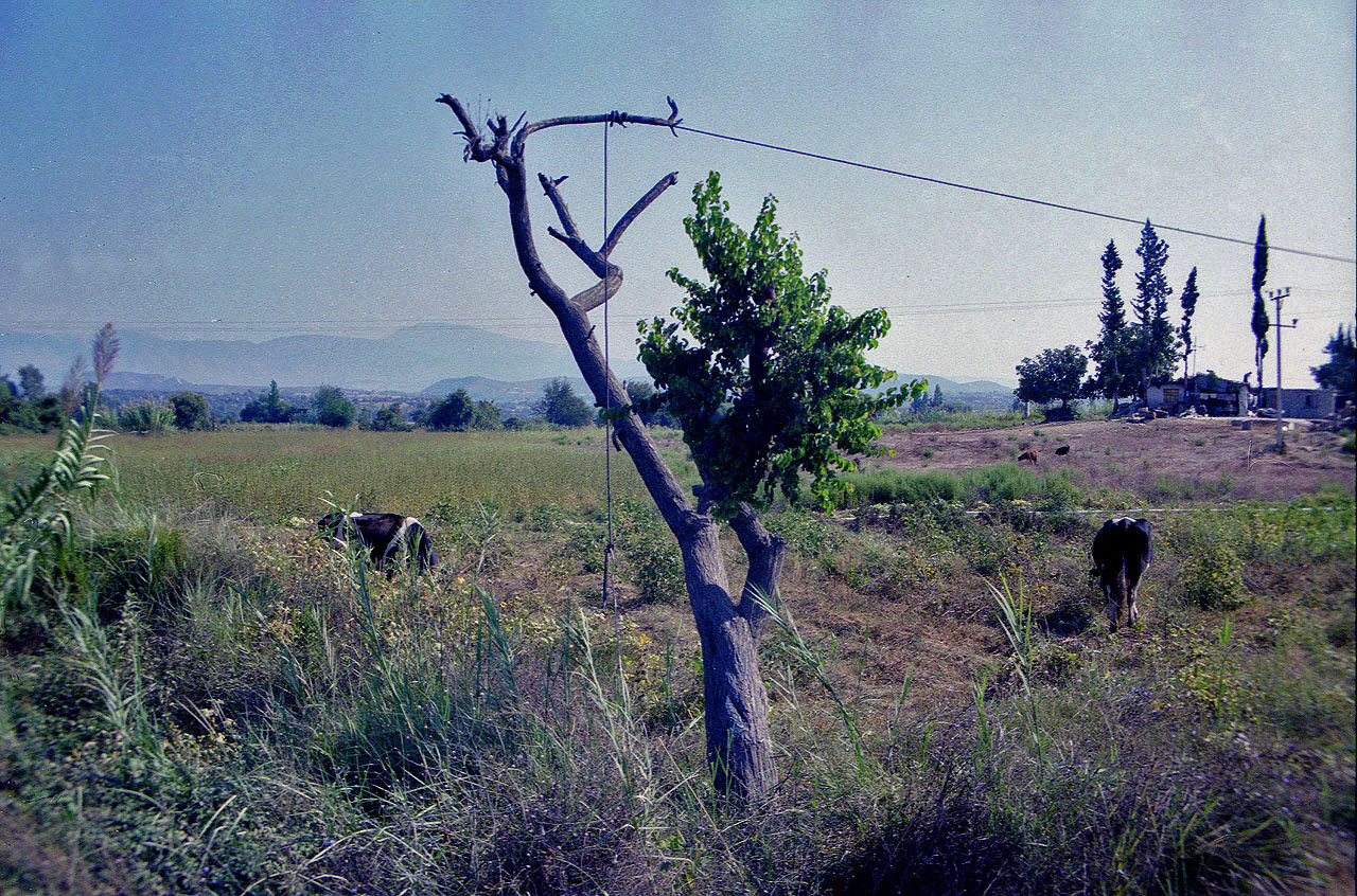 23.09.1992 | bei Manavgat | Wiesen und Felder in pamphylischer Ebene