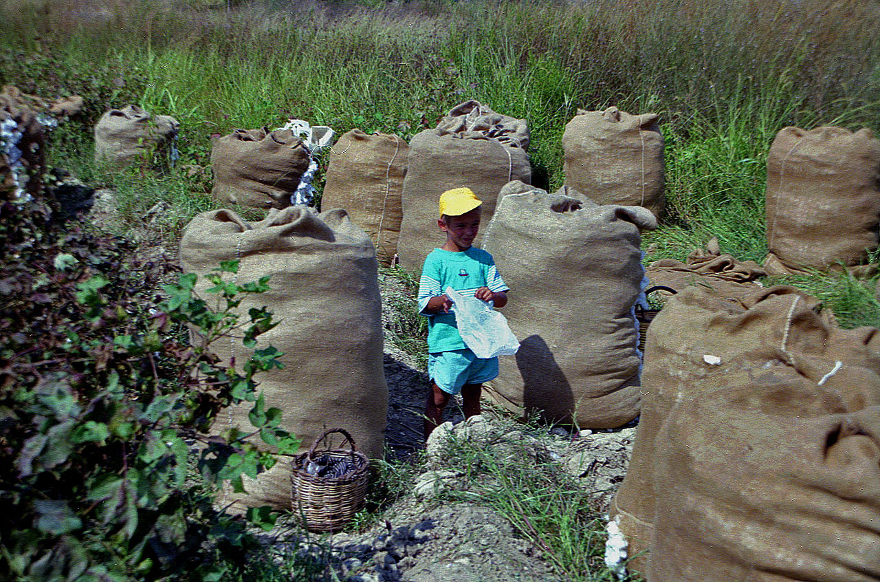 24.09.1992 | bei Manavgat | Baumwollernte
