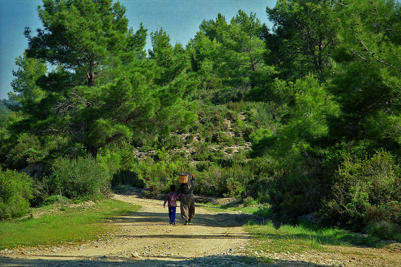 30.04.1995 | Naras Cay Brücke | Bergstrasse nach der Brücke