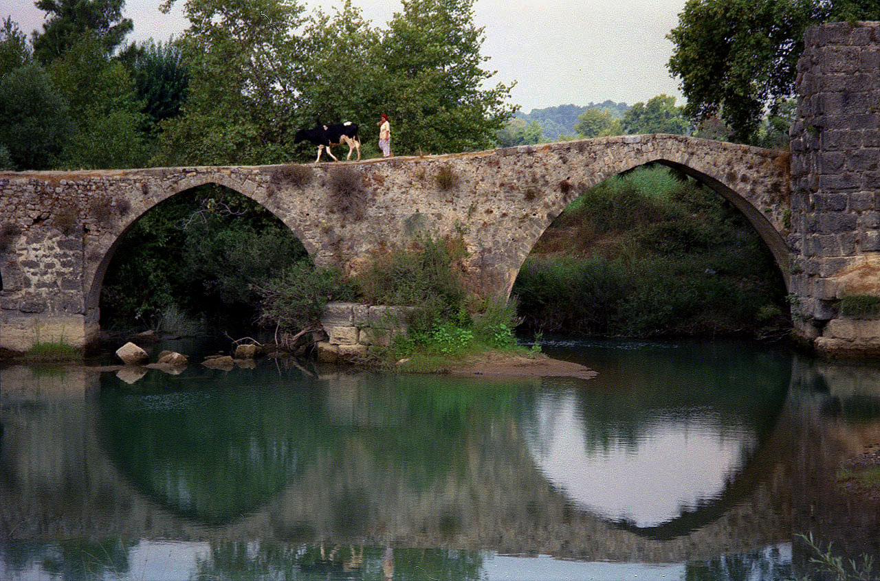 19.08.1995 | Naras Cay Brücke | es geht heimwärts in den Stall