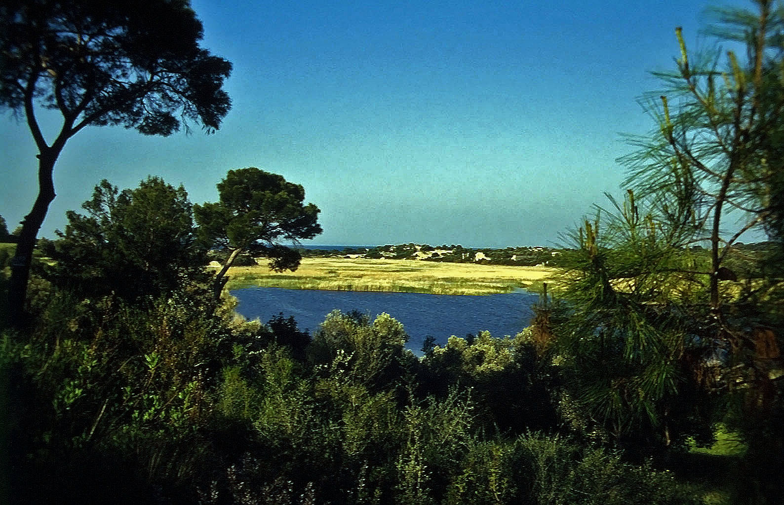 22.04.1993 | Nekropole | See mit Stadtgebiet