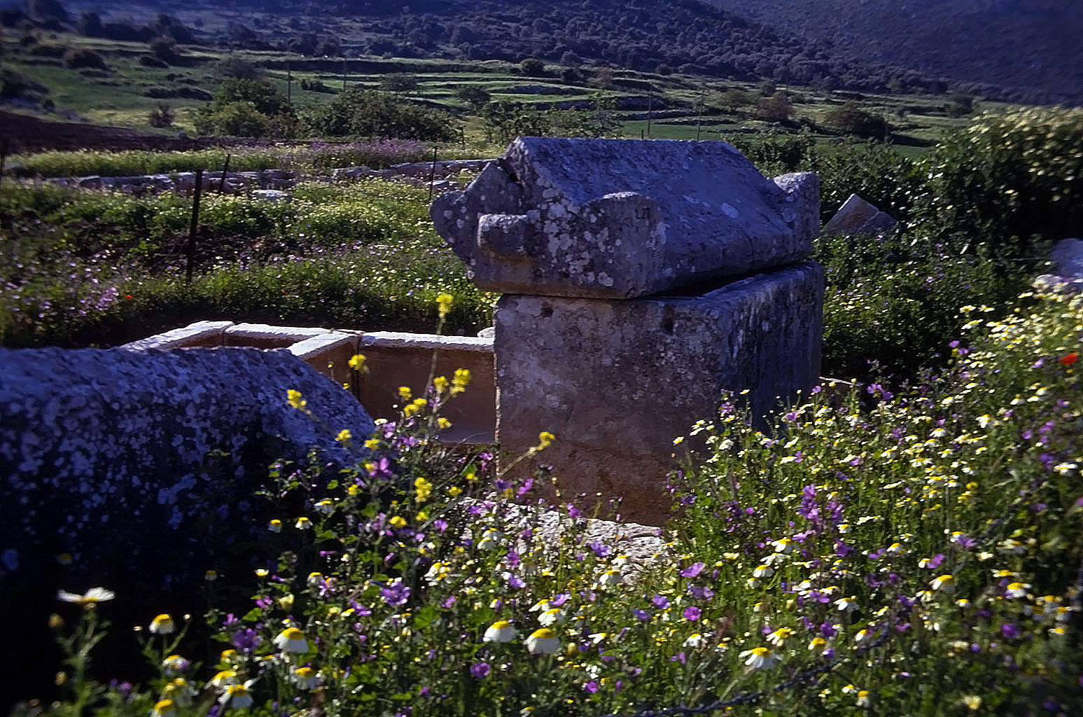 22.04.1993 | Sarkophag | Sarkophag der Nekropole