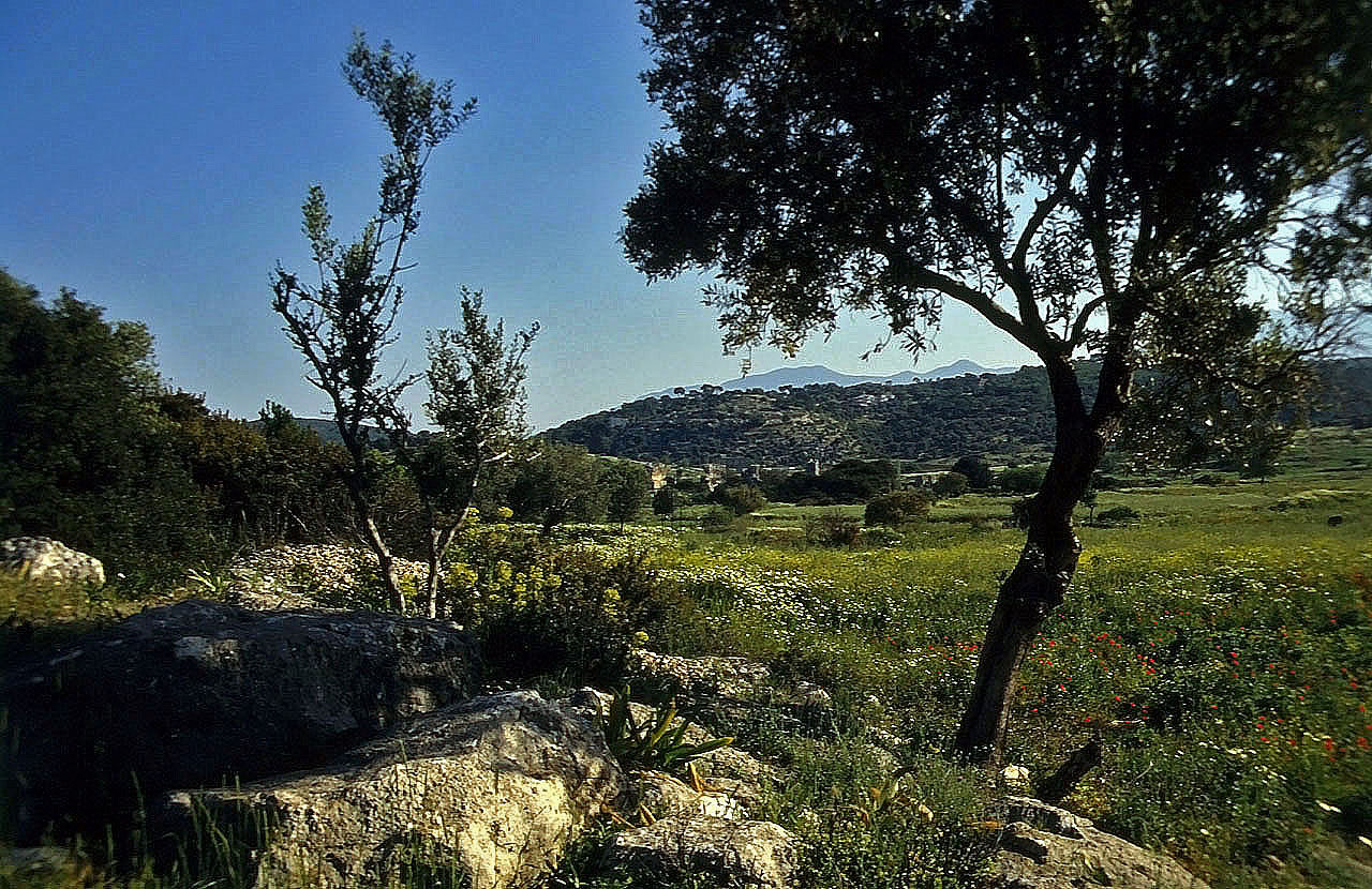 22.04.1993 | Theater | Blick zu den Thermen und Bädern