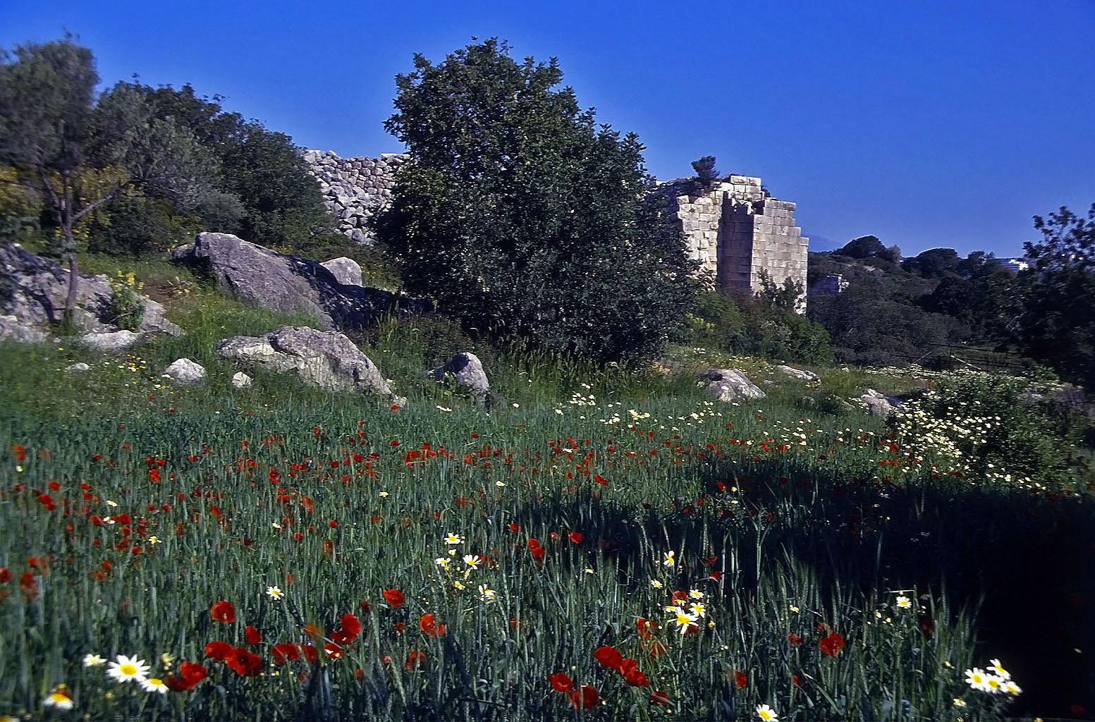 22.04.1993 | Theater | seitliche Stützkonstruktion über Wiesen