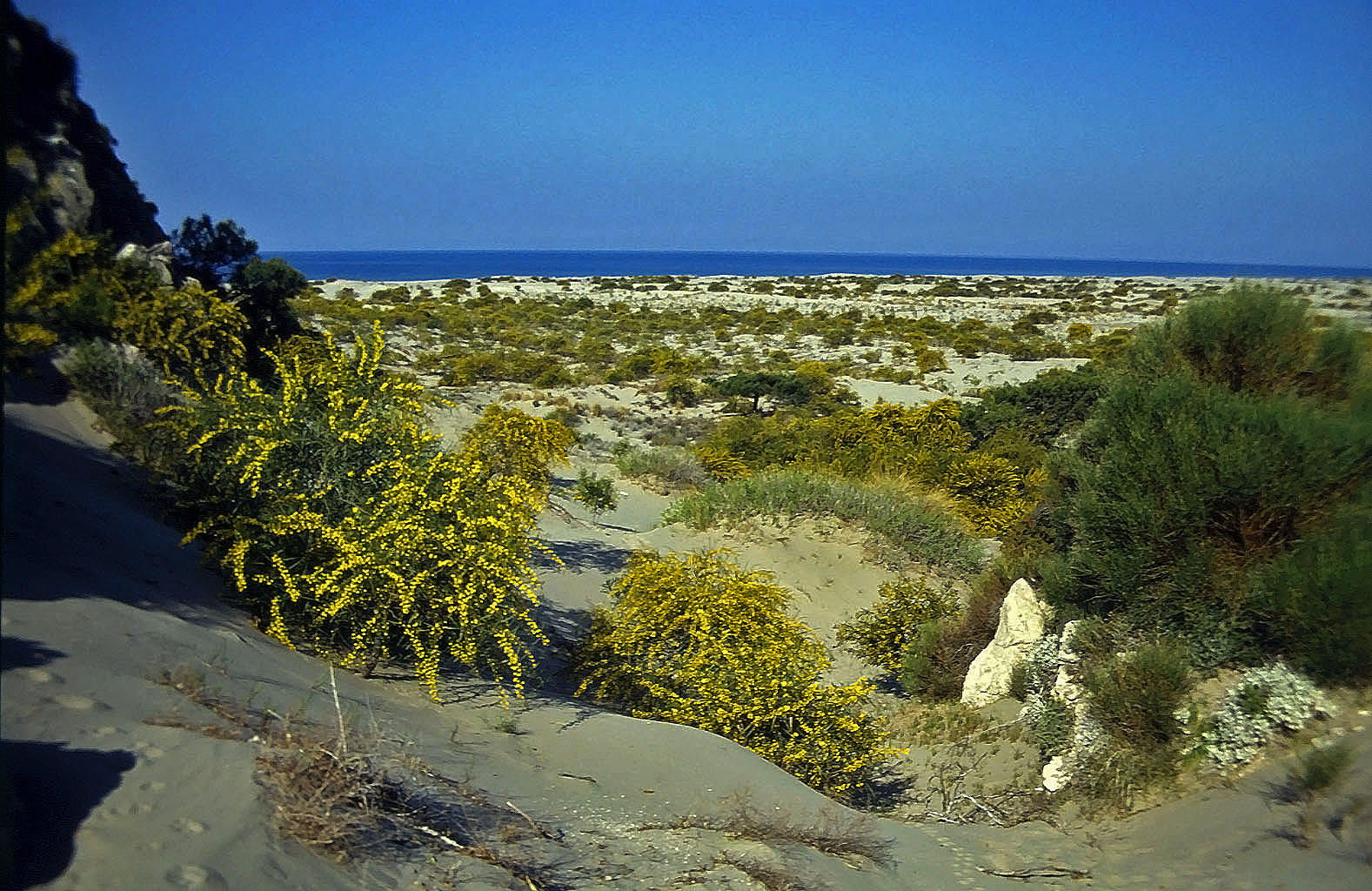 22.04.1993 | Theater   | Patara-Stranddünen