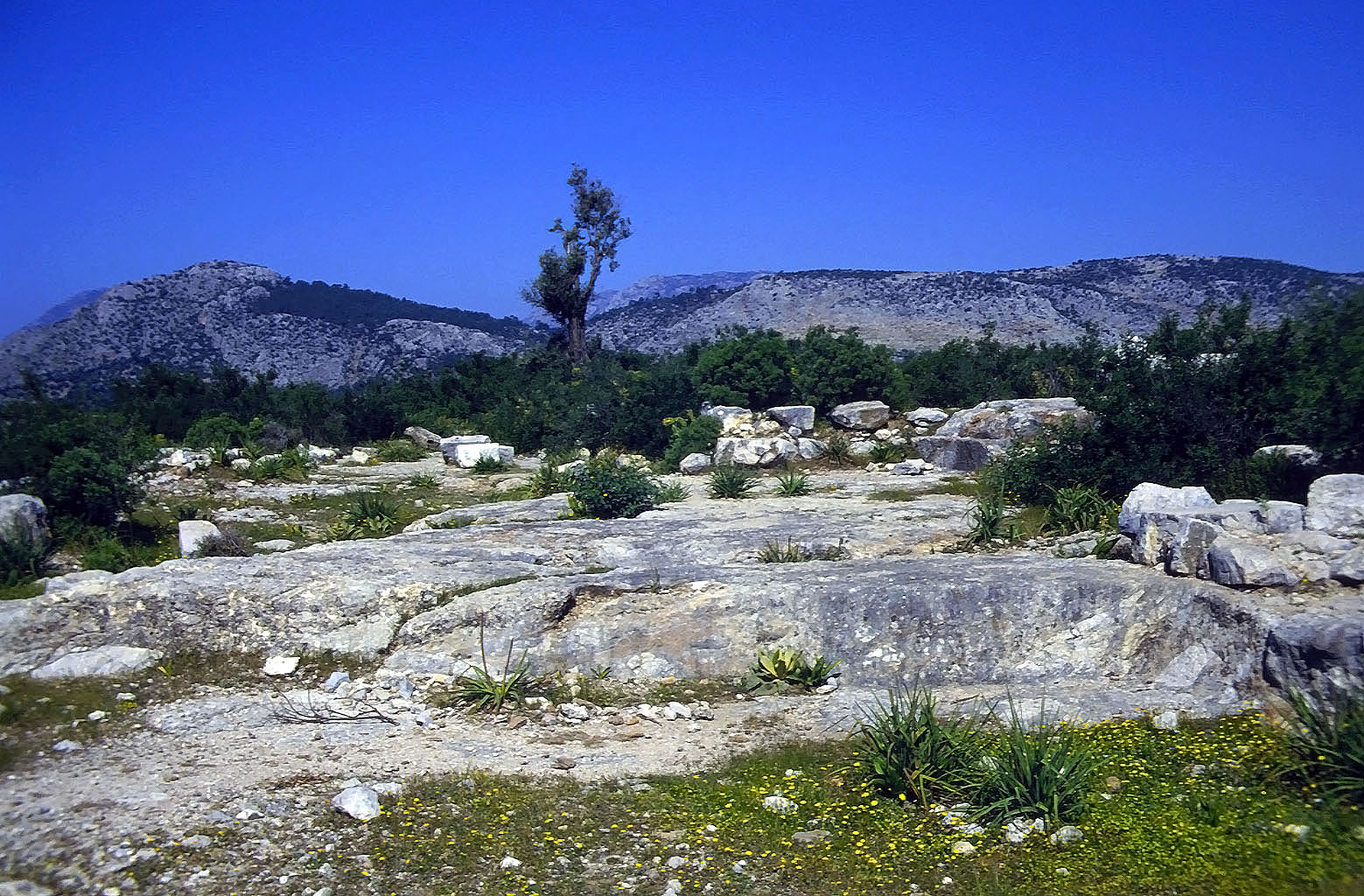 22.04.1993 | lykische Akropolis | Grundfläche des großen lykischen Palasts