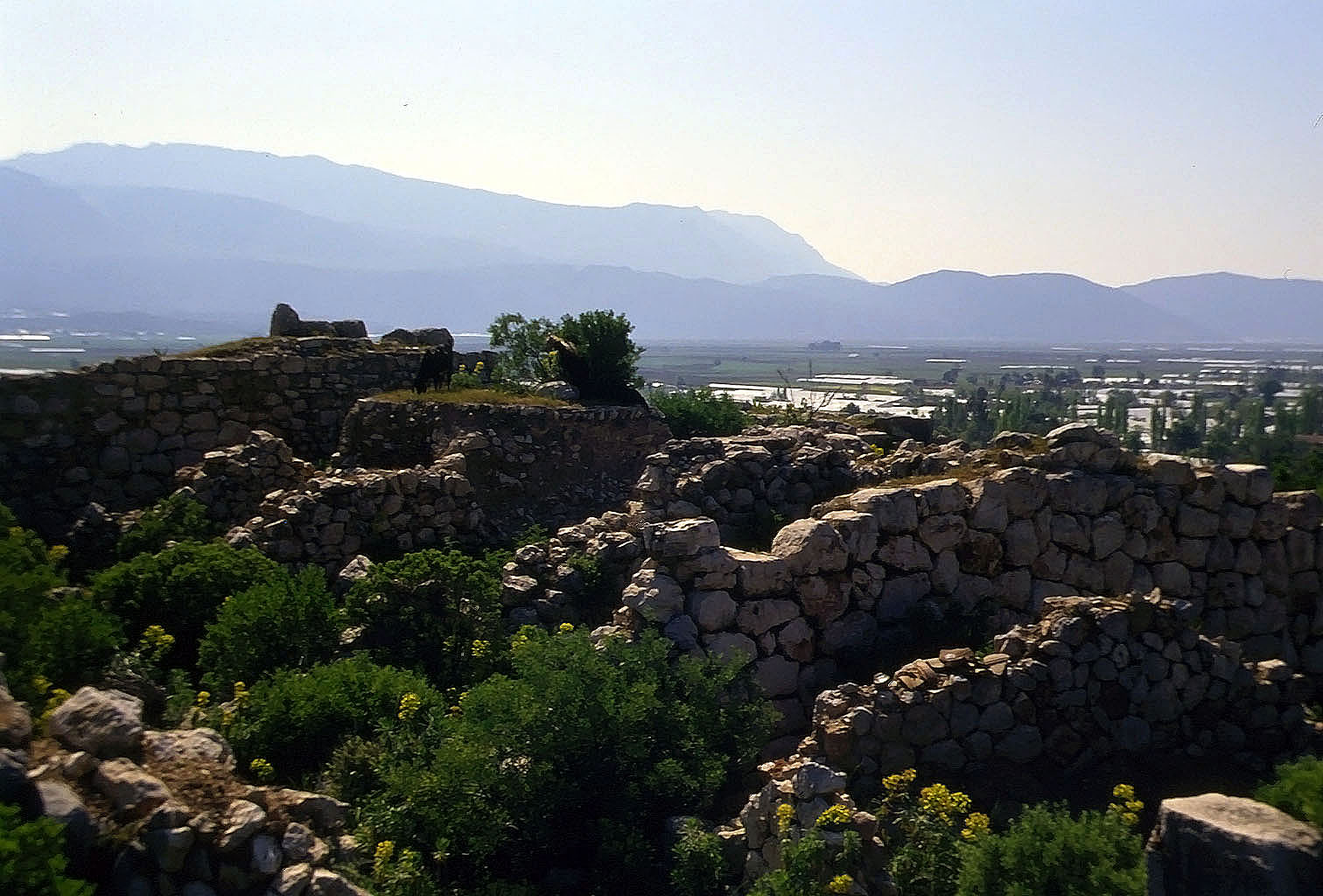 22.04.1993 | lykische Akropolis | Mauerreste des großen lykischen Palasts