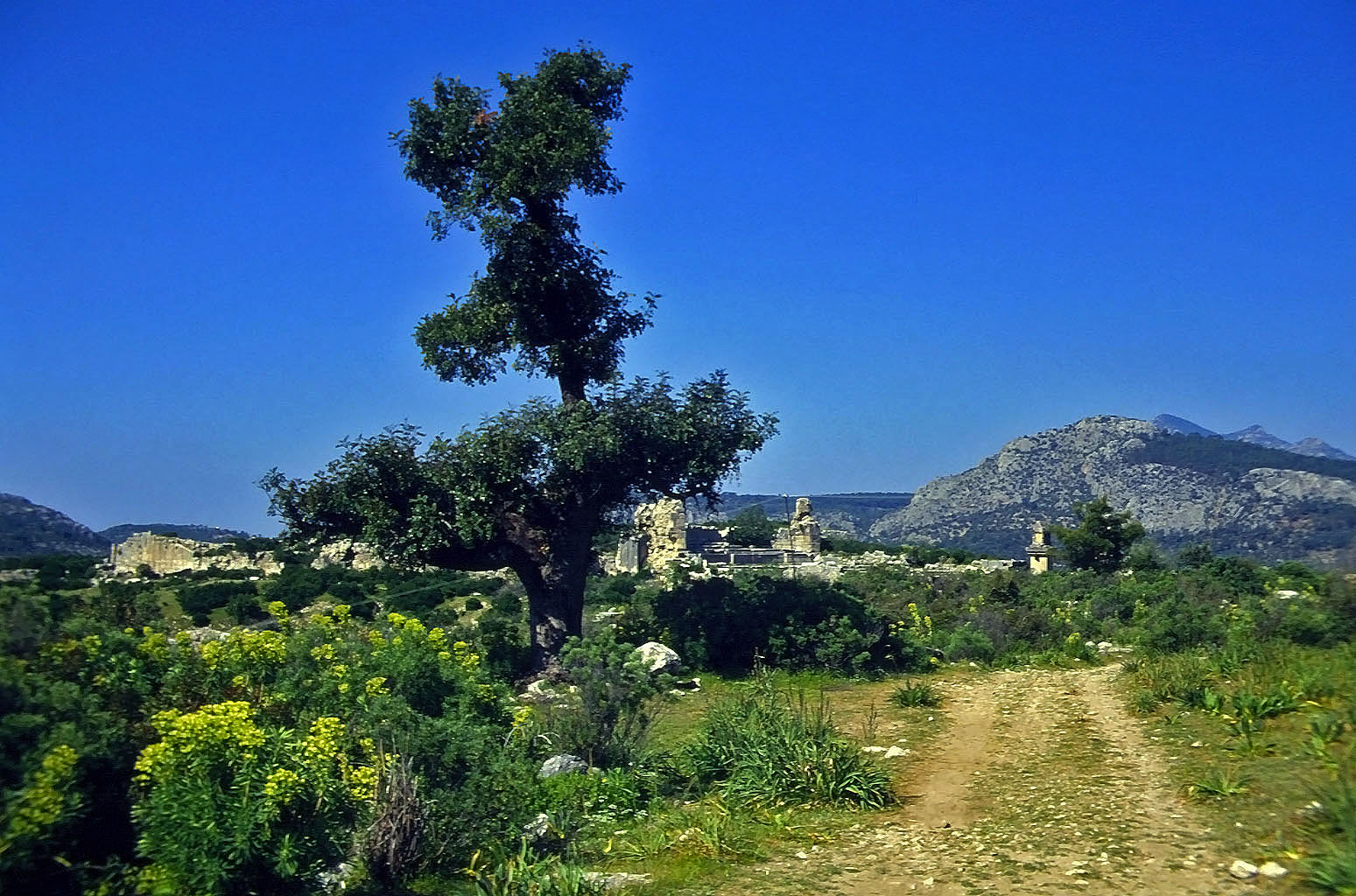 22.04.1993 | römische Strasse | Weg vom Theater zur Agora