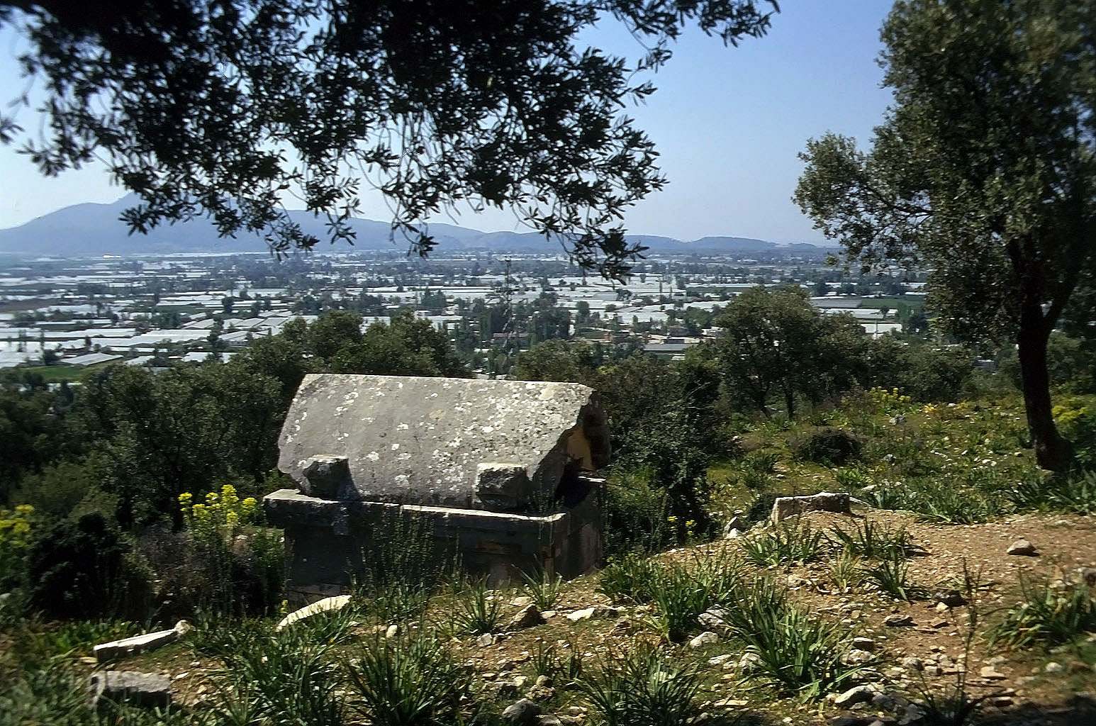 22.04.1993 | Akropolis | Sarkophag mit Blick auf Gewächshäuser