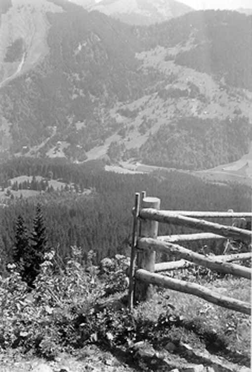 Waldmannhütte am 15.08.1952