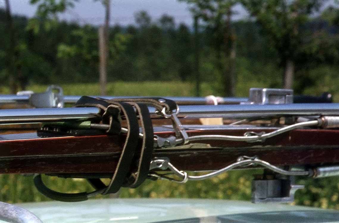 Griesener Alm am 21.06.1970