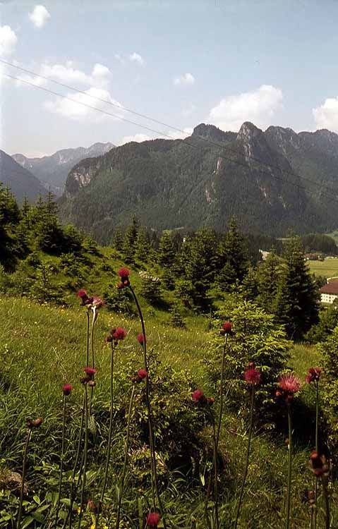 Ettaler Manndl am 26.06.1973