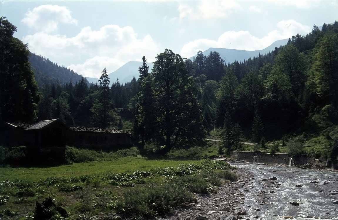 Halserspitze am 27.07.1975