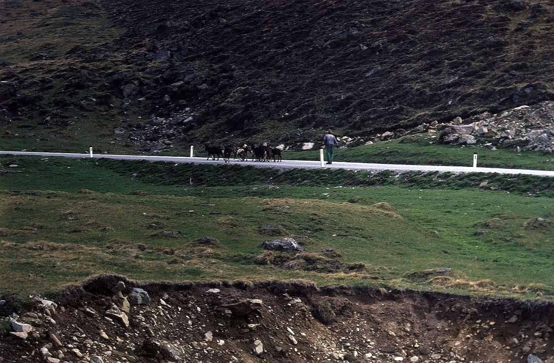 Metzen am 16.05.1976