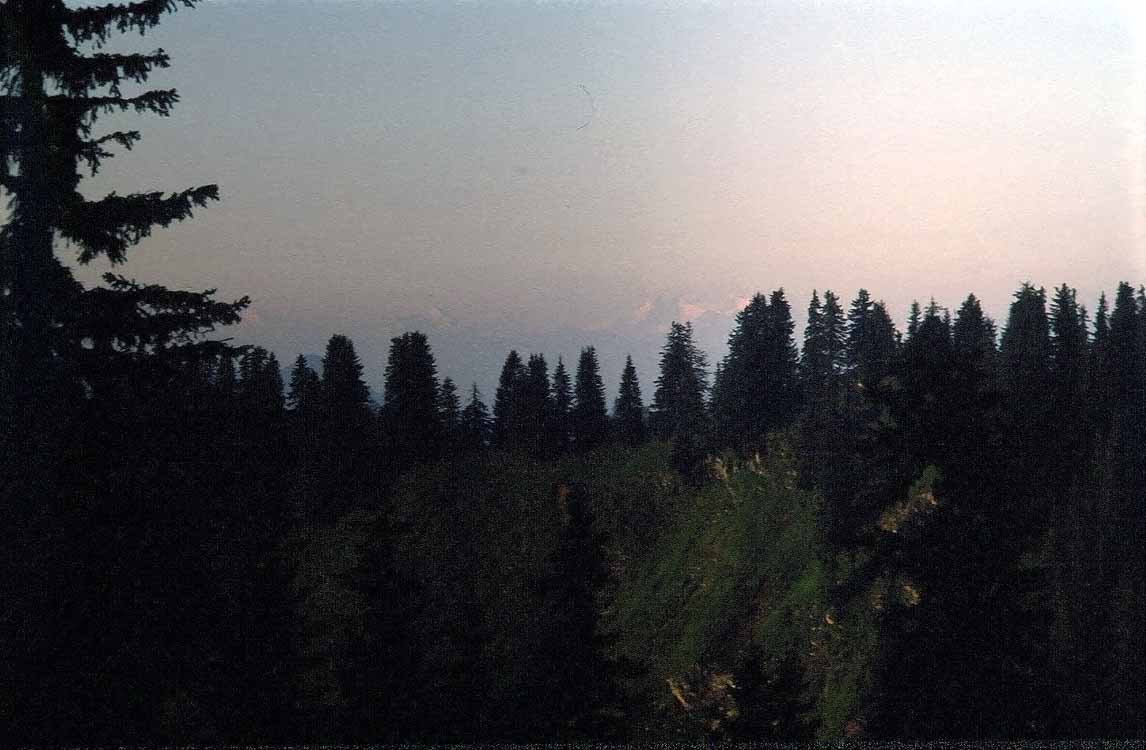 Rotkopf am 03.07.1977