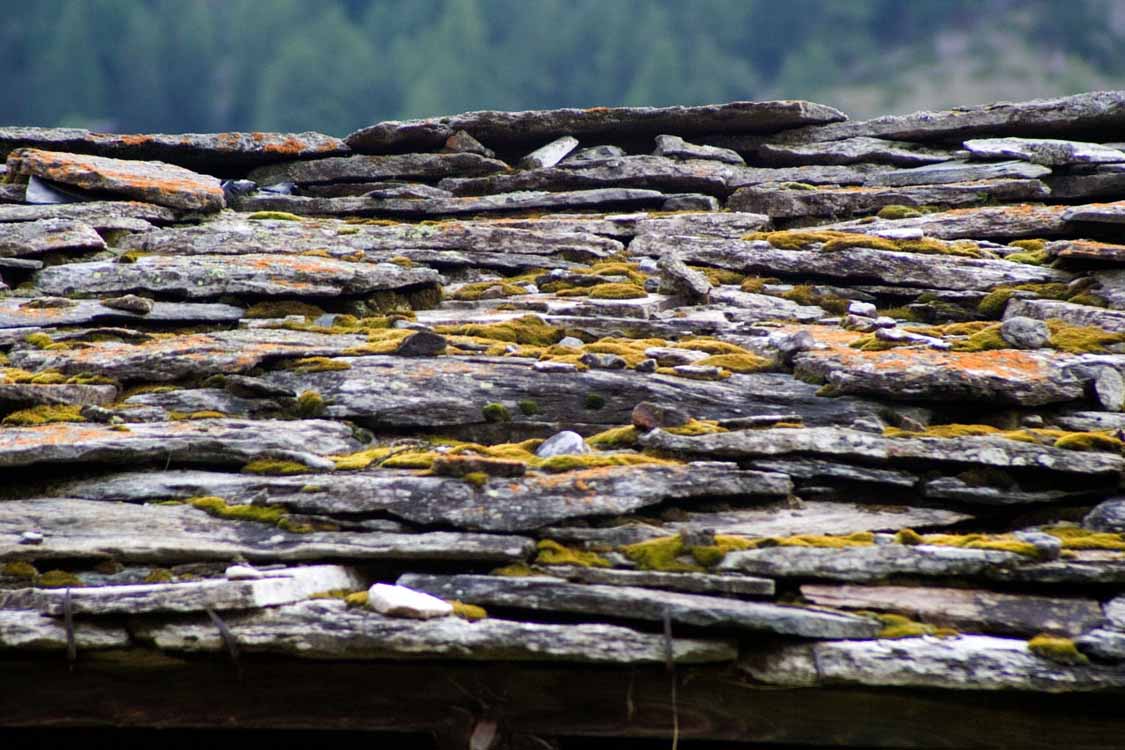 Grüensee am 24.08.2007